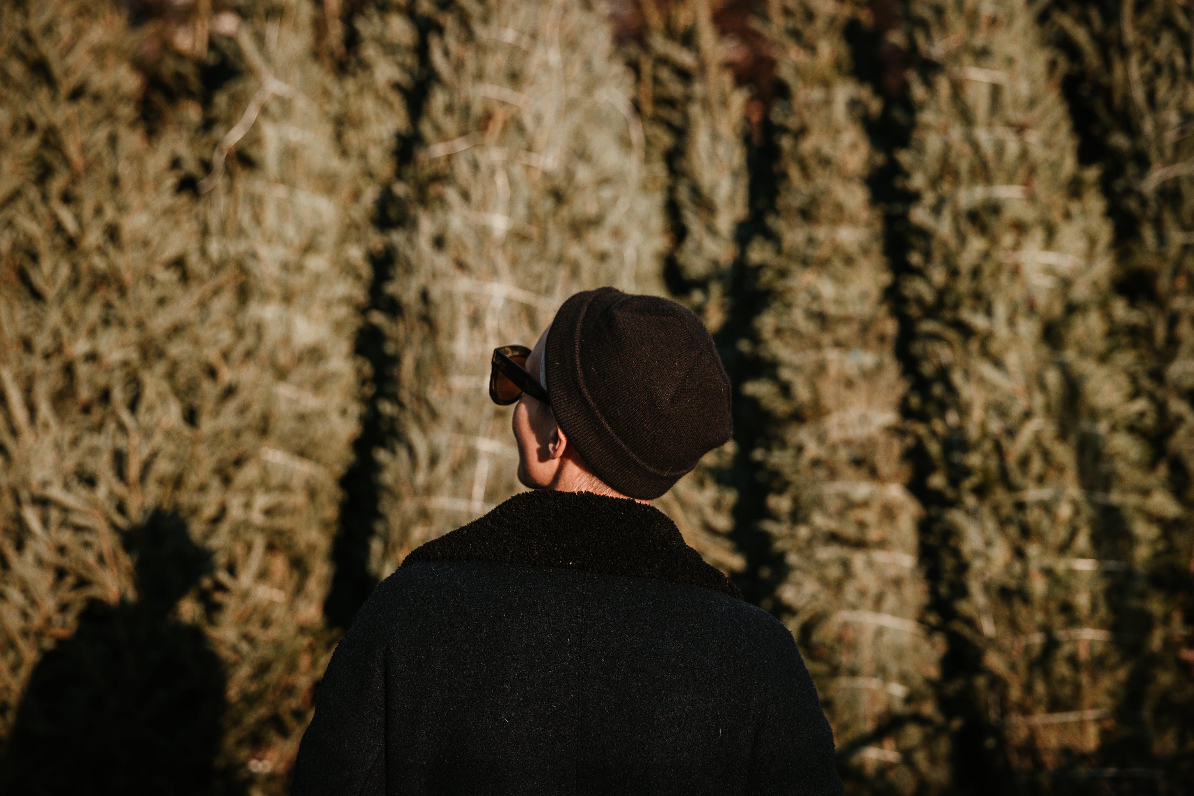 files/young-woman-looking-into-the-trees.jpg